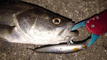 今日も寒かったが短時間夕練出撃！