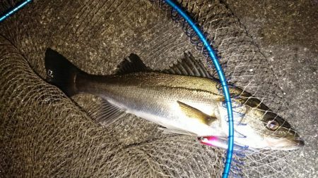 明暗境目でガツーン！