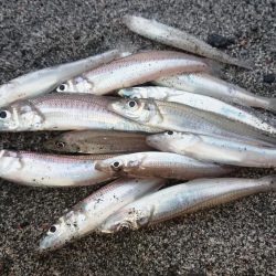 クリスマスでもキス