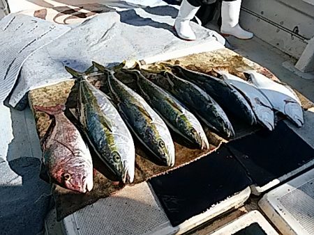 大物釣果速報！●光義丸：平戸市早福港