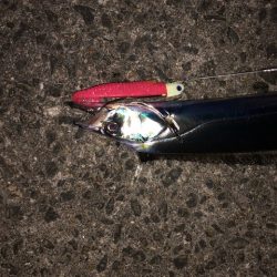 武庫一ワインド