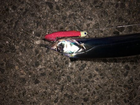 武庫一ワインド