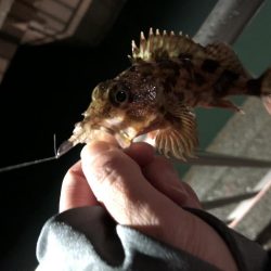 今シーズン初雪釣行！