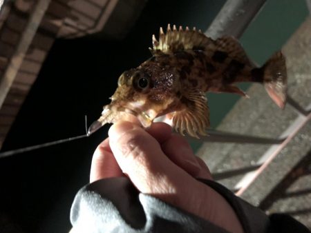 今シーズン初雪釣行！