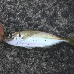 五目達成ならず