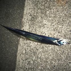 全然飽きません(笑)