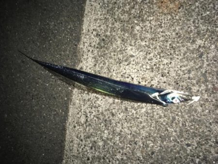 全然飽きません(笑)