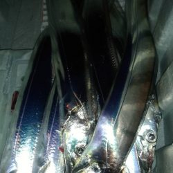 1週間ぶり激寒の中