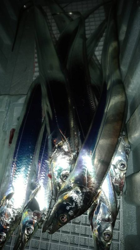 1週間ぶり激寒の中