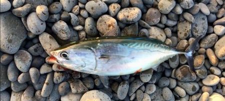 アカモノGETだぜッ！！