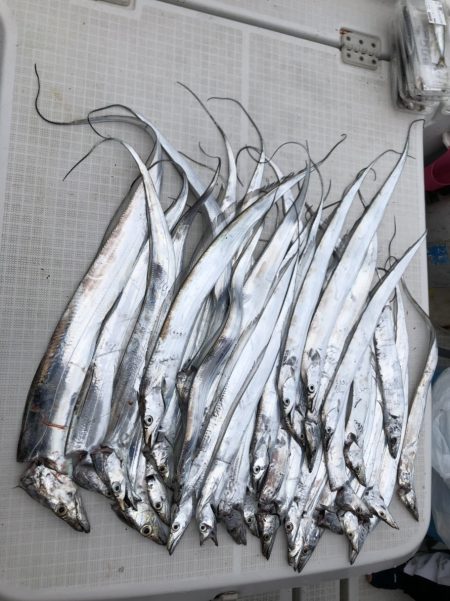 タチウオ楽釣！