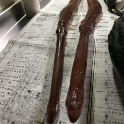 ジギング釣り納め