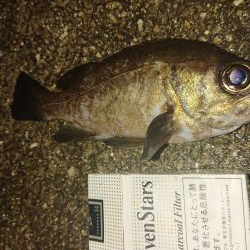 のんびりまったり