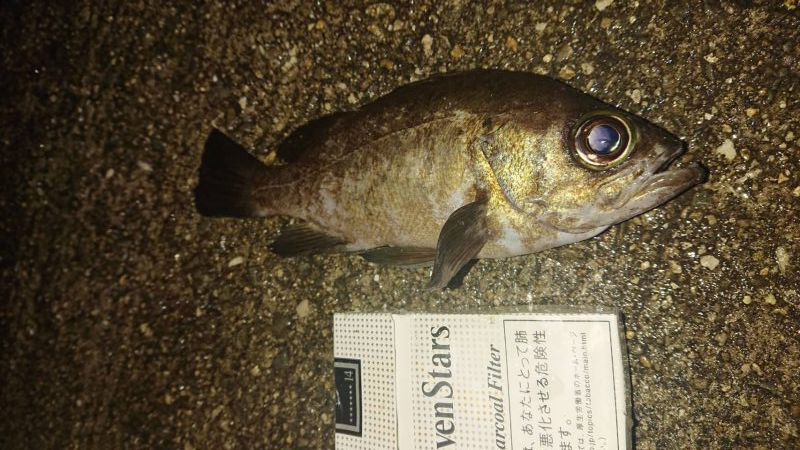 のんびりまったり