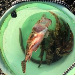 このままでは終われなーい！