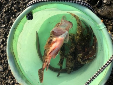 このままでは終われなーい！