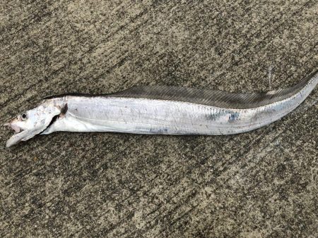 まだまだ遊べそう