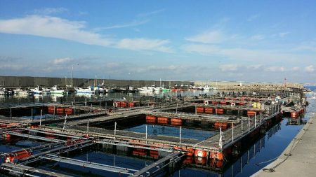 ひさびさ海上釣り堀