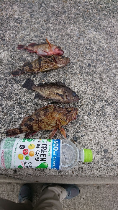 日曜日のリベンジ