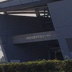 今日はダメダメです