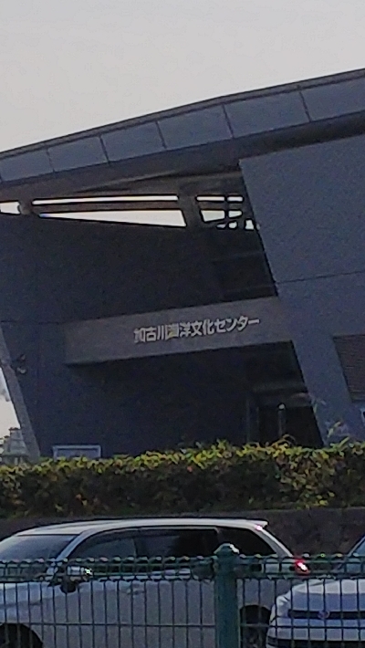 今日はダメダメです