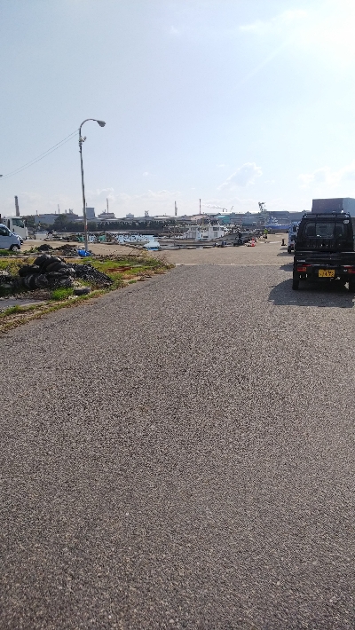 今日はイワシが