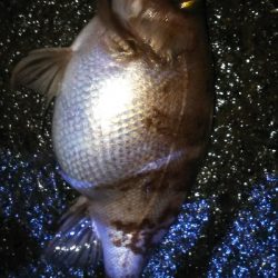 横浜アジは終結？