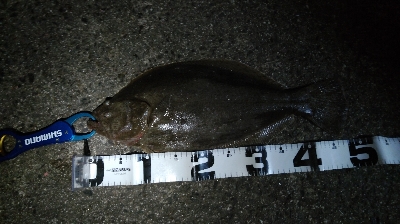 ランガン釣り納め