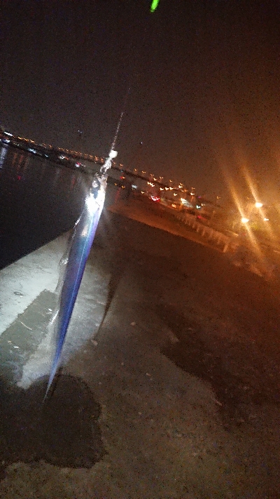 デカ太刀魚を求めて