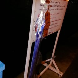 BIGOne求めて短時間勝負