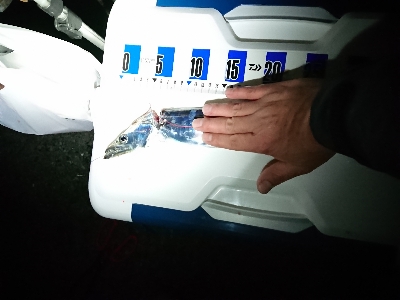 満足しました！！