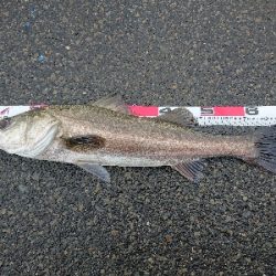 大小堪能できました