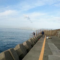 仕事が急に休み！