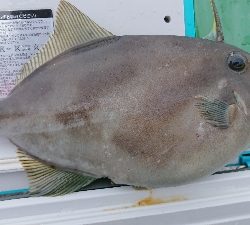 今年最後の釣り