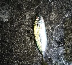 深い所での当たり