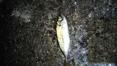 深い所での当たり