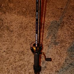 メバリング調査