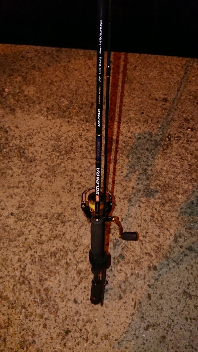 メバリング調査