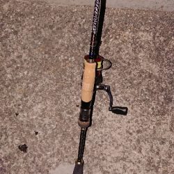 メバリング調査