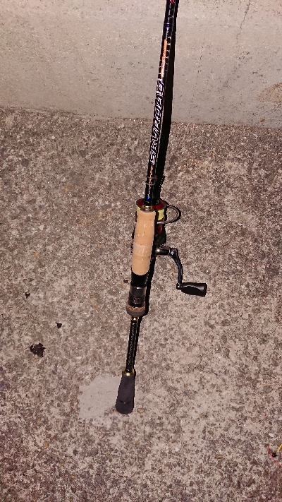 メバリング調査