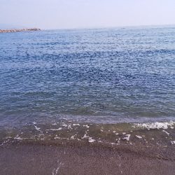 今日もダイソージグで