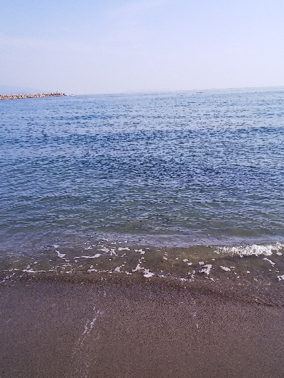 今日もダイソージグで