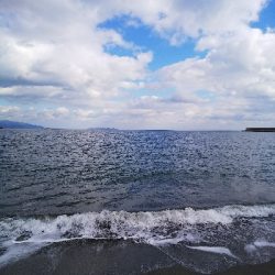 ソゲゲット＿ダイソージグ