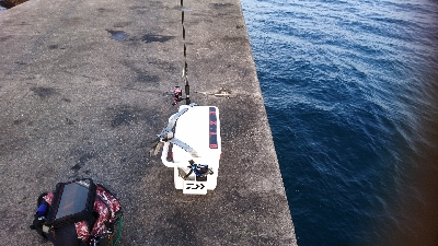 師走ですが天気も