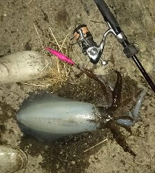 初のボーダー越え‼️