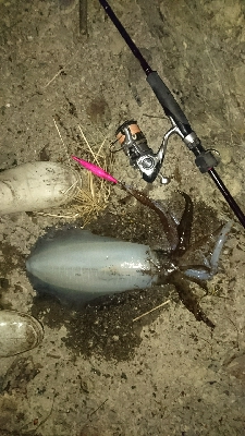 初のボーダー越え‼️