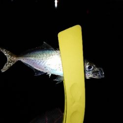 このままでは終わらな〜い