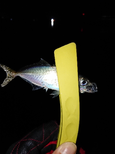 このままでは終わらな〜い