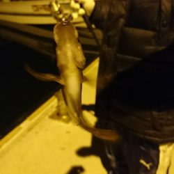 ベイカ釣り( *・ω・)ノ