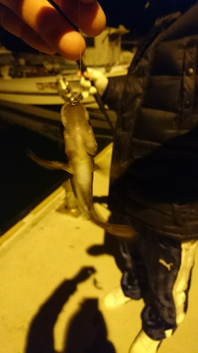 ベイカ釣り( *・ω・)ノ